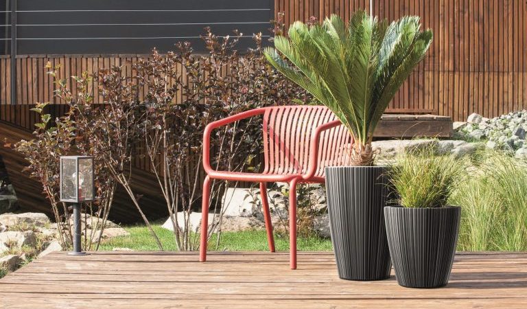 Pflanzen online kaufen und mit dem passenden Blumentopf perfekt in Szene setzen